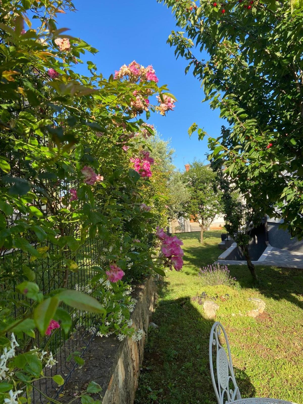 Holiday Home Mihaela Višnjan المظهر الخارجي الصورة