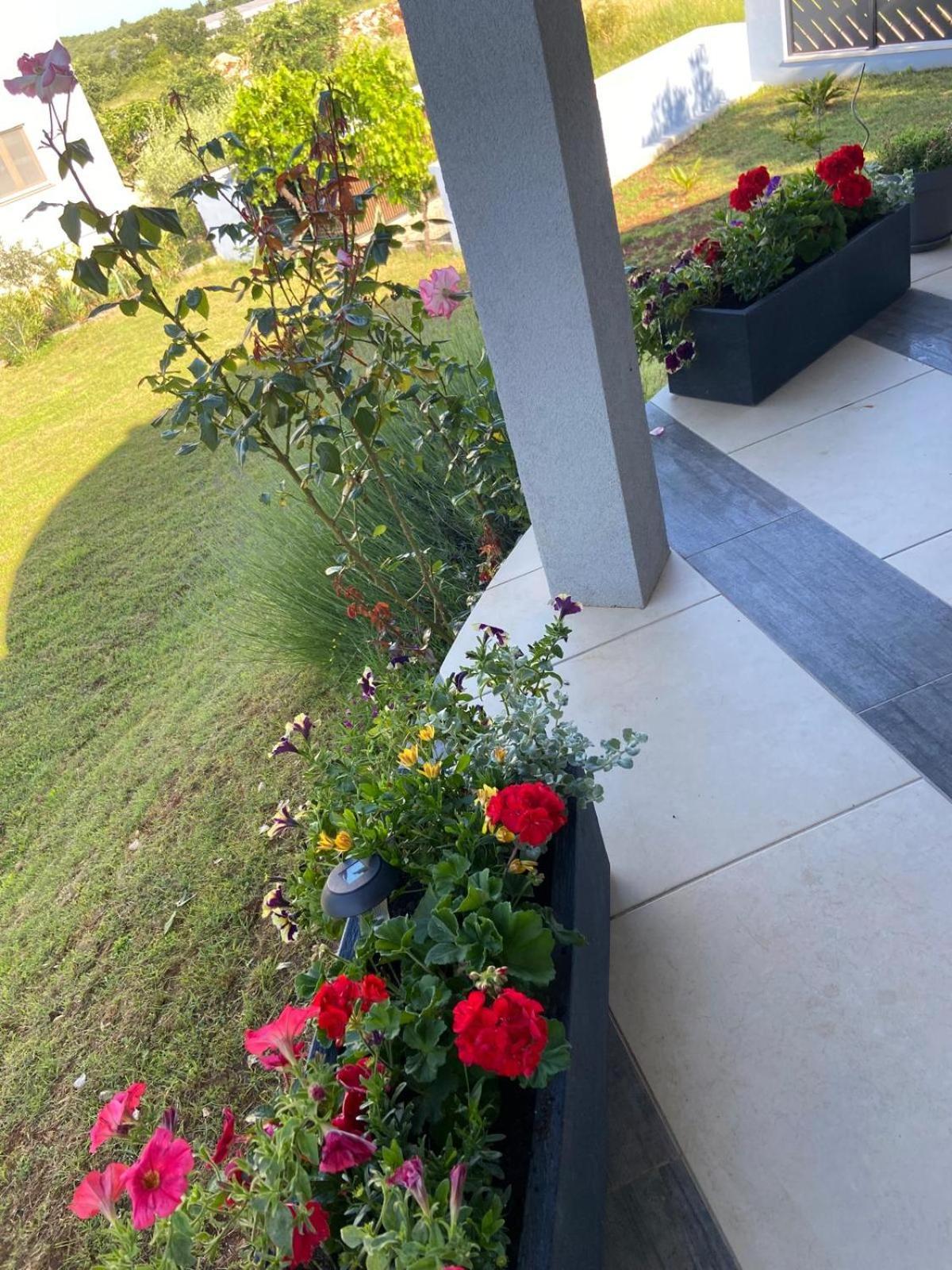Holiday Home Mihaela Višnjan المظهر الخارجي الصورة